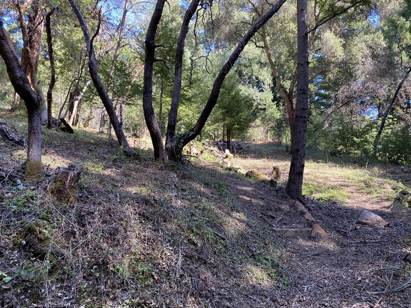 25555 Hutchinson, LOS GATOS, California 95033, ,Lots And Land,For Sale,Hutchinson,40962088