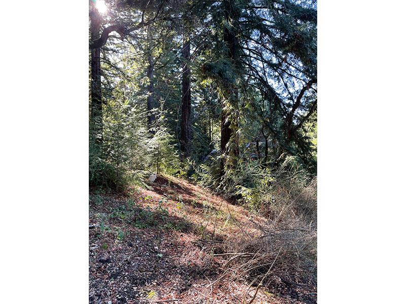 25555 Hutchinson, LOS GATOS, California 95033, ,Lots And Land,For Sale,Hutchinson,40962088