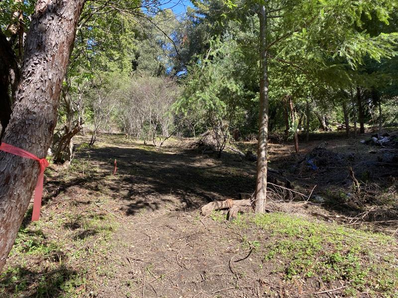 25555 Hutchinson, LOS GATOS, California 95033, ,Lots And Land,For Sale,Hutchinson,40962088