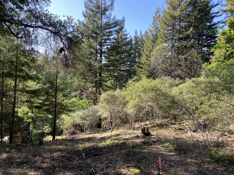 25555 Hutchinson, LOS GATOS, California 95033, ,Lots And Land,For Sale,Hutchinson,40962088