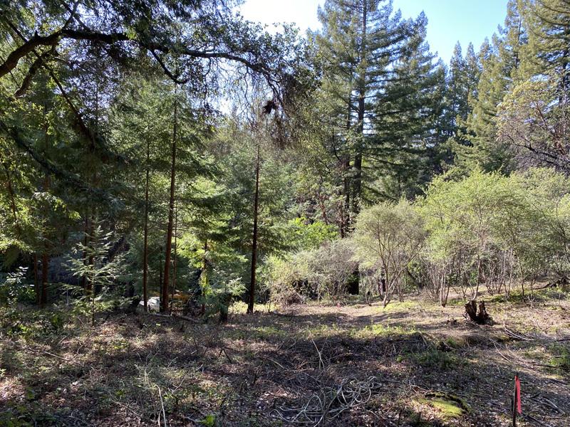 25555 Hutchinson, LOS GATOS, California 95033, ,Lots And Land,For Sale,Hutchinson,40962088