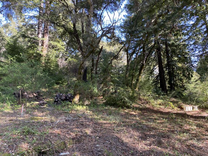 25555 Hutchinson, LOS GATOS, California 95033, ,Lots And Land,For Sale,Hutchinson,40962088