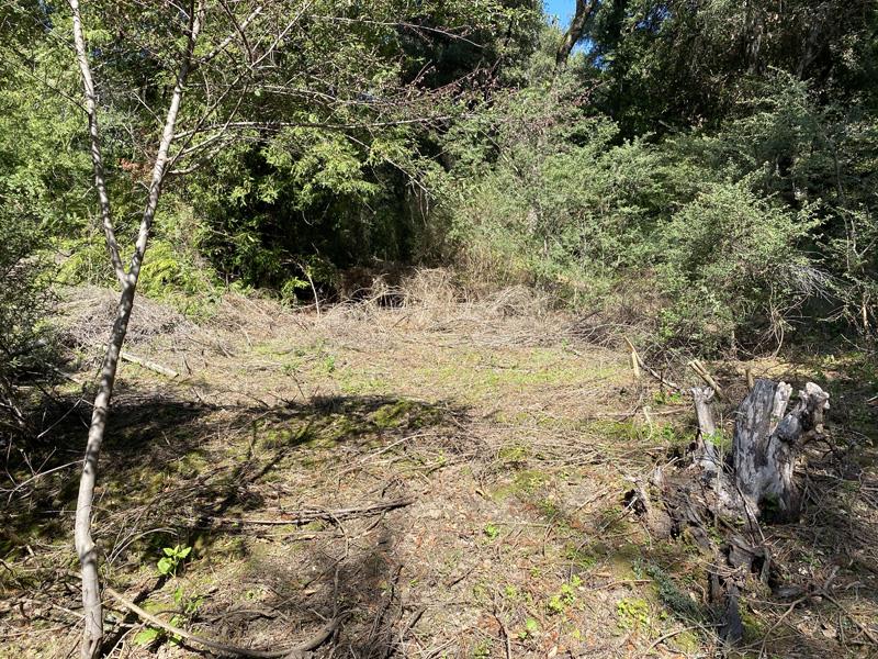 25555 Hutchinson, LOS GATOS, California 95033, ,Lots And Land,For Sale,Hutchinson,40962088