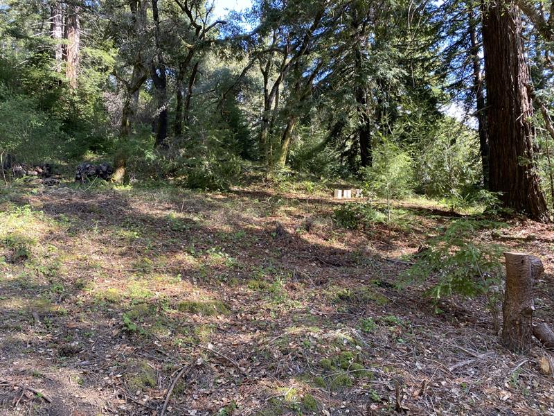 25555 Hutchinson, LOS GATOS, California 95033, ,Lots And Land,For Sale,Hutchinson,40962088