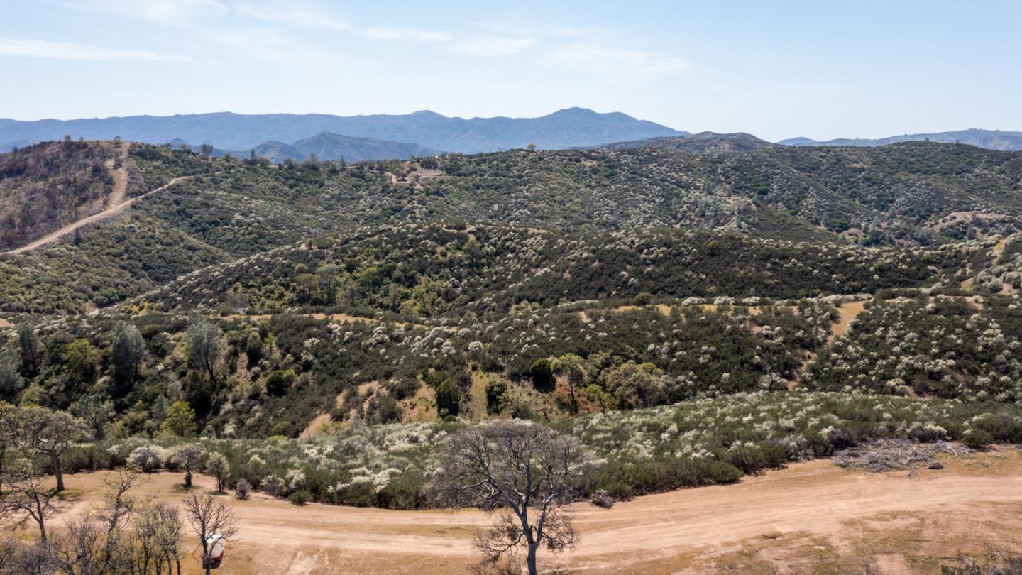 51541 Mines Road, SAN JOSE, California 95140, ,Lots And Land,For Sale,Mines Road,40964405
