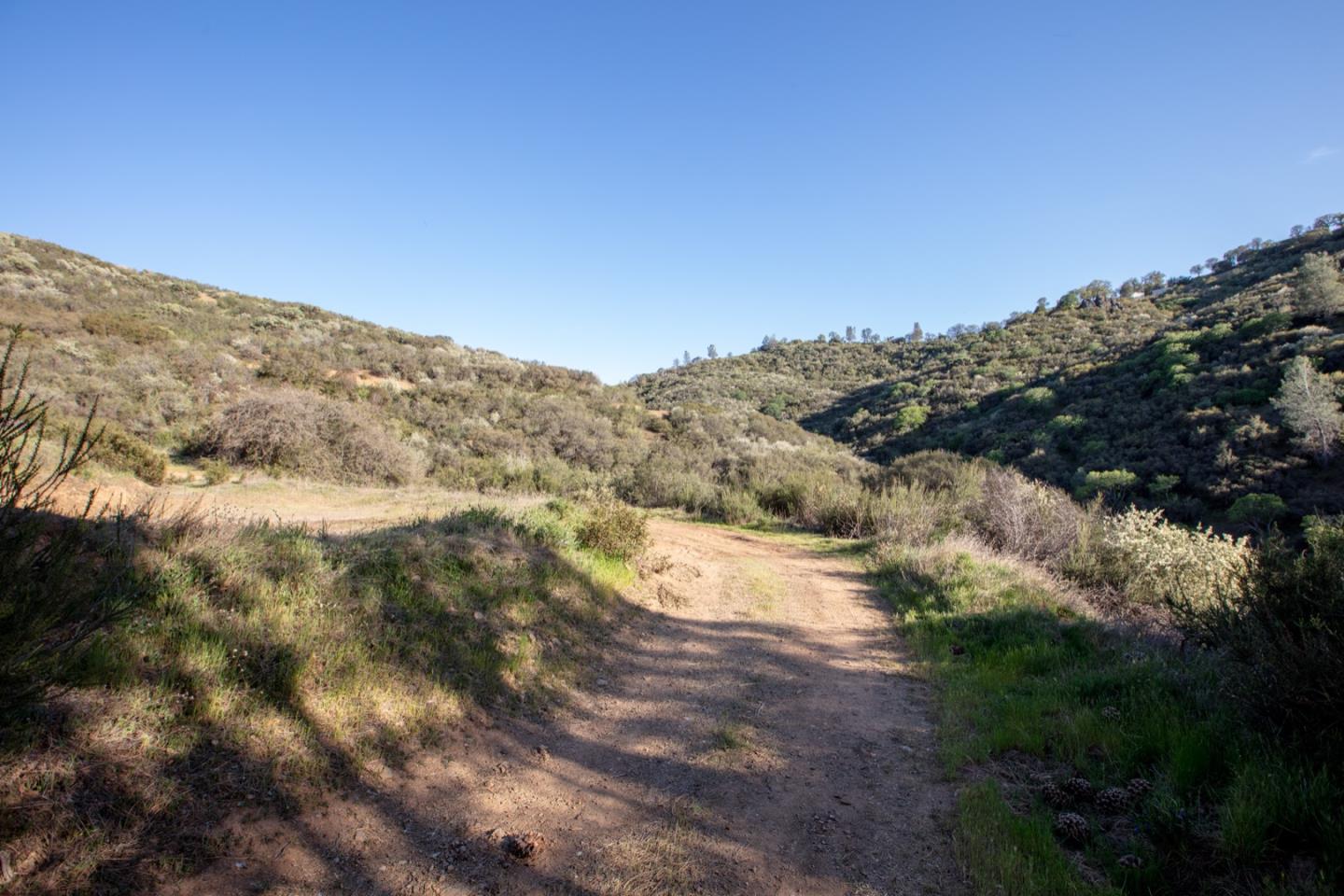 51541 Mines Road, SAN JOSE, California 95140, ,Lots And Land,For Sale,Mines Road,40964405