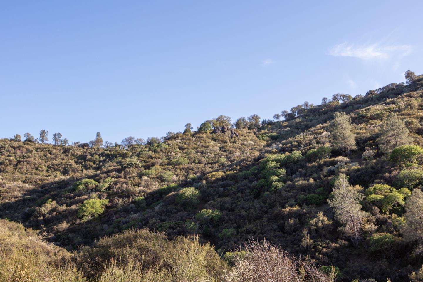 51541 Mines Road, SAN JOSE, California 95140, ,Lots And Land,For Sale,Mines Road,40964405