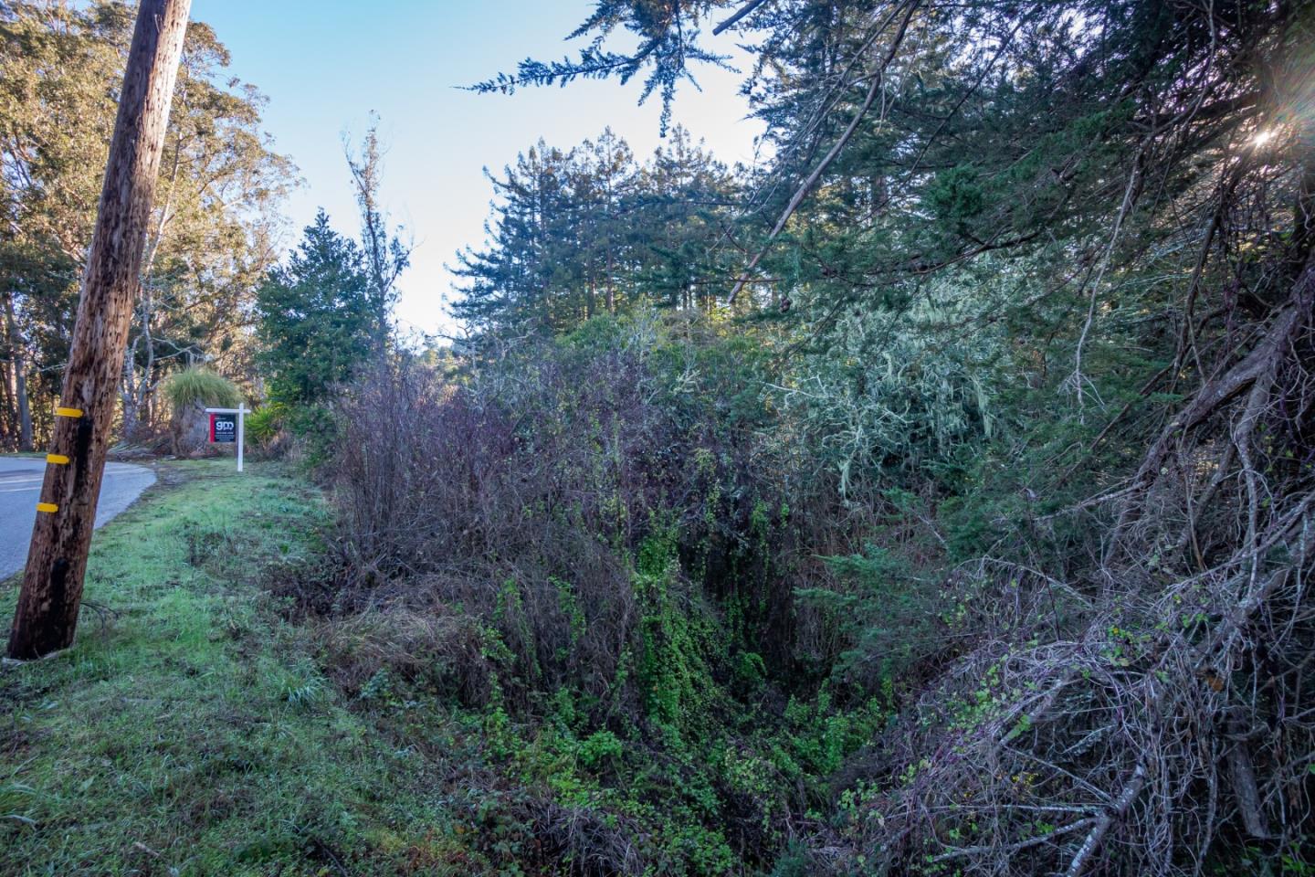 0 Tunitas Creek Road, HALF MOON BAY, California 94019, ,Lots And Land,For Sale,Tunitas Creek Road,40962236