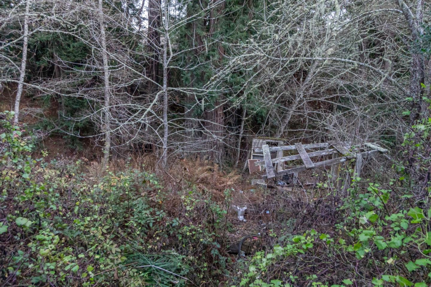 0 Tunitas Creek Road, HALF MOON BAY, California 94019, ,Lots And Land,For Sale,Tunitas Creek Road,40962236