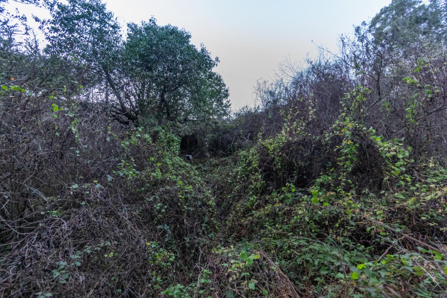 0 Tunitas Creek Road, HALF MOON BAY, California 94019, ,Lots And Land,For Sale,Tunitas Creek Road,40962236