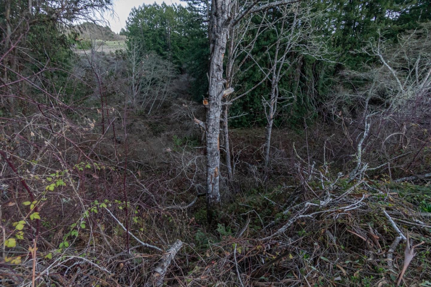 0 Tunitas Creek Road, HALF MOON BAY, California 94019, ,Lots And Land,For Sale,Tunitas Creek Road,40962236