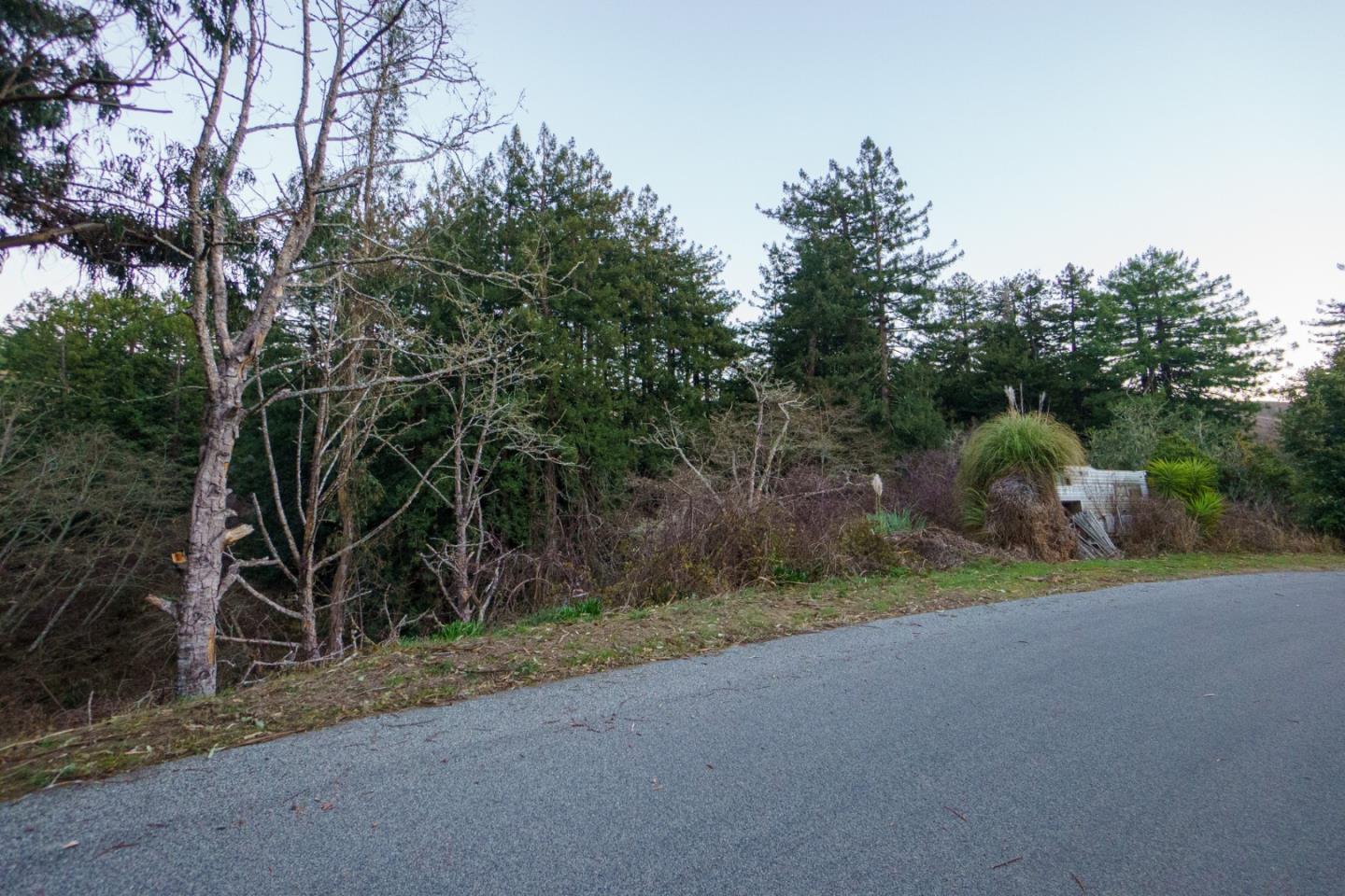 0 Tunitas Creek Road, HALF MOON BAY, California 94019, ,Lots And Land,For Sale,Tunitas Creek Road,40962236