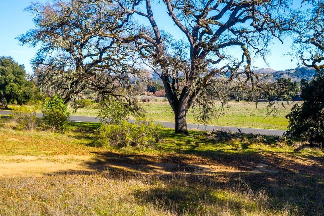 1 Rumsen Trace, CARMEL, California 93923, ,Lots And Land,For Sale,Rumsen Trace,40962237