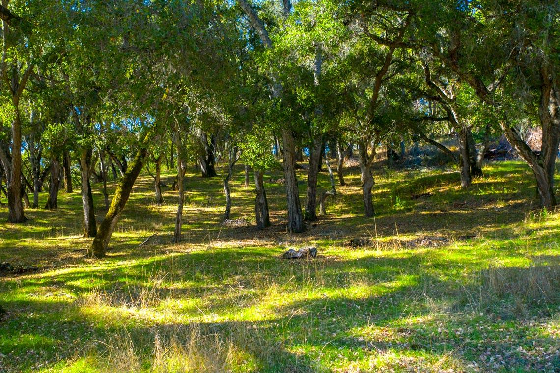 1 Rumsen Trace, CARMEL, California 93923, ,Lots And Land,For Sale,Rumsen Trace,40962237