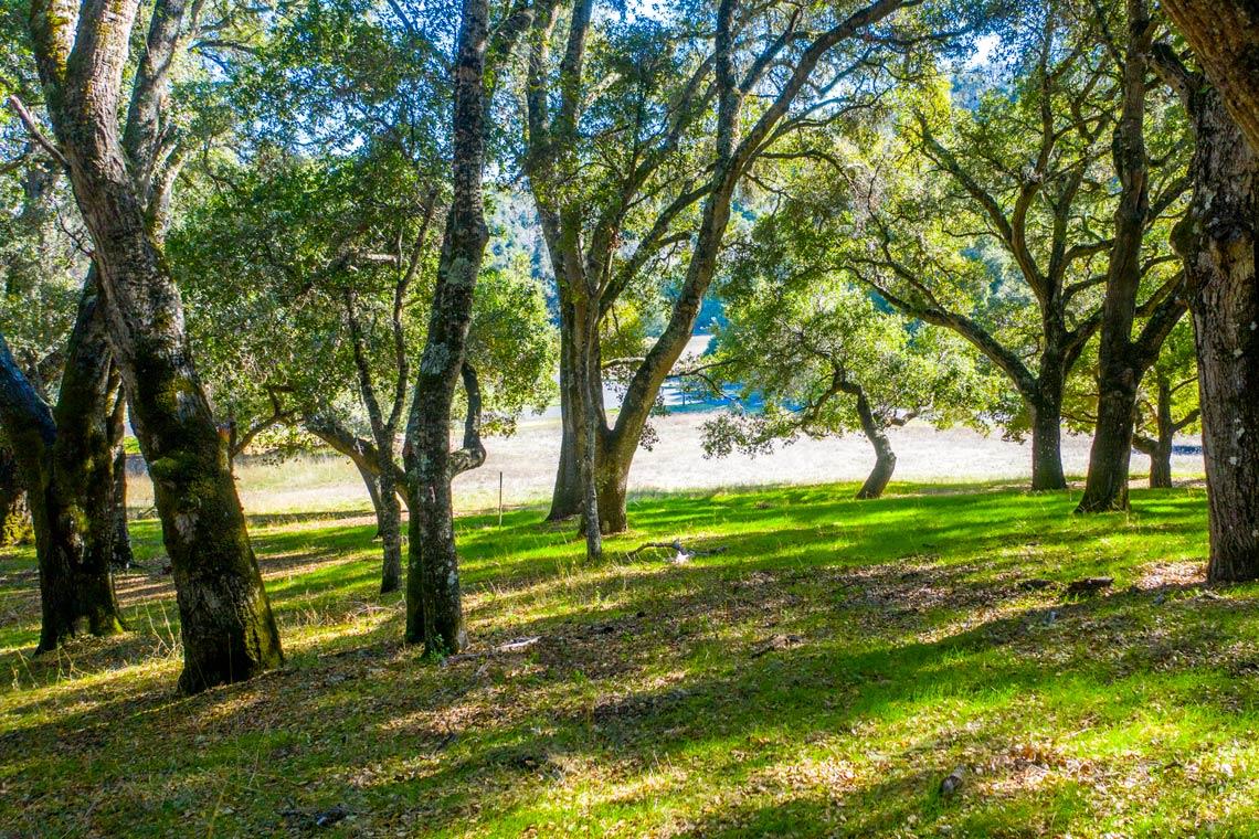 1 Rumsen Trace, CARMEL, California 93923, ,Lots And Land,For Sale,Rumsen Trace,40962237