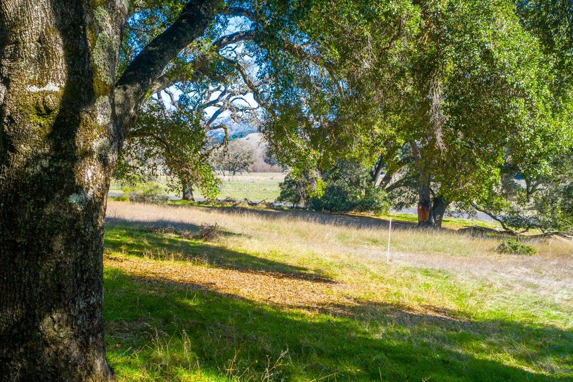1 Rumsen Trace, CARMEL, California 93923, ,Lots And Land,For Sale,Rumsen Trace,40962237