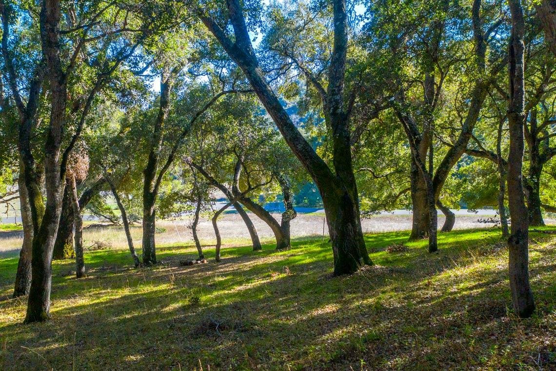 1 Rumsen Trace, CARMEL, California 93923, ,Lots And Land,For Sale,Rumsen Trace,40962237