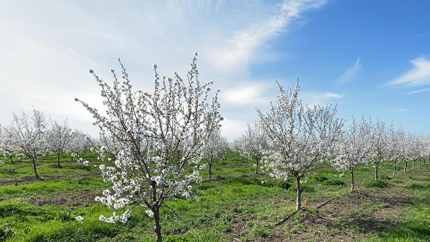 5663 Dally Road, VACAVILLE, California 95687, ,Comm Lots And Land,For Sale,Dally Road,40972888
