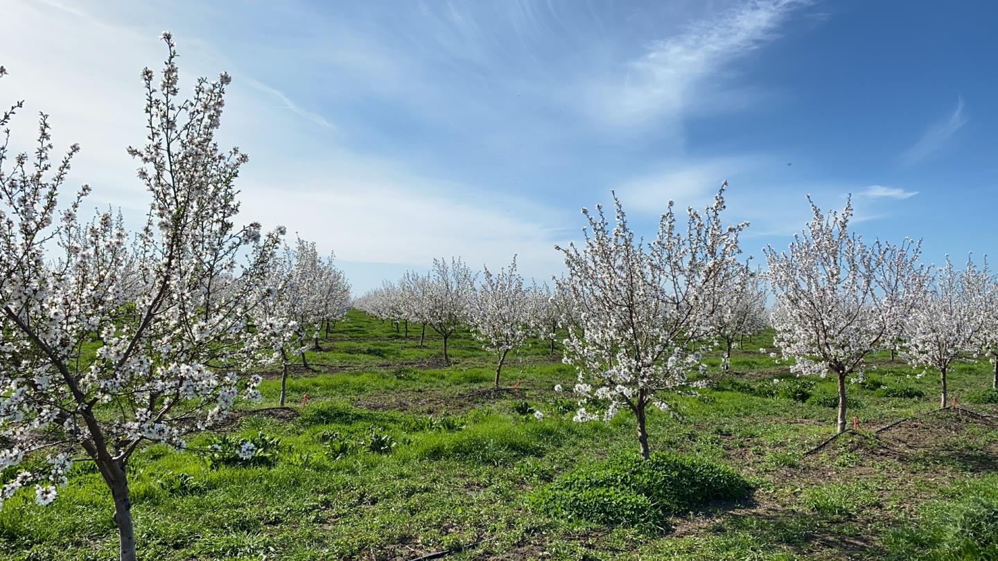 5663 Dally Road, VACAVILLE, California 95687, ,Comm Lots And Land,For Sale,Dally Road,40972888