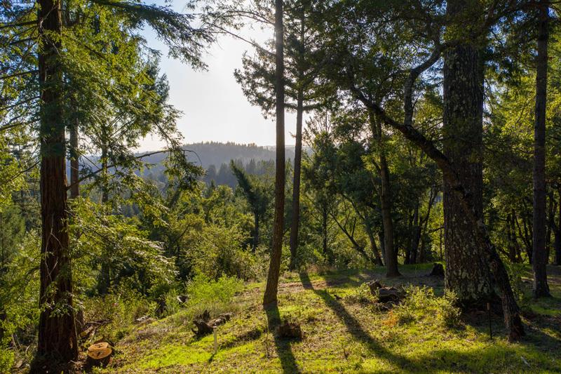 250 Robinridge Lane, LOS GATOS, California 95033, ,Lots And Land,For Sale,Robinridge Lane,40962288