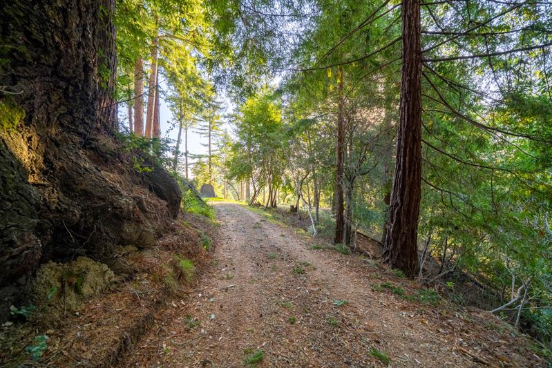 250 Robinridge Lane, LOS GATOS, California 95033, ,Lots And Land,For Sale,Robinridge Lane,40962288