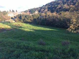 2150 Hollyhock Court, GILROY, California 95020, ,Lots And Land,For Sale,Hollyhock Court,40962297