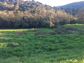2150 Hollyhock Court, GILROY, California 95020, ,Lots And Land,For Sale,Hollyhock Court,40962297