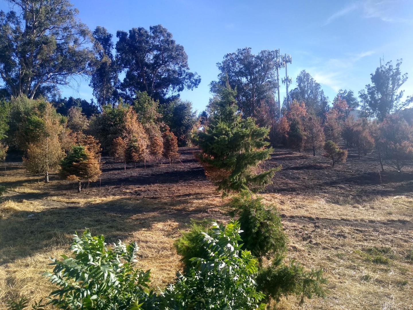 0 Park Hill, HOLLISTER, California 95023, ,Lots And Land,For Sale,Park Hill,40972722