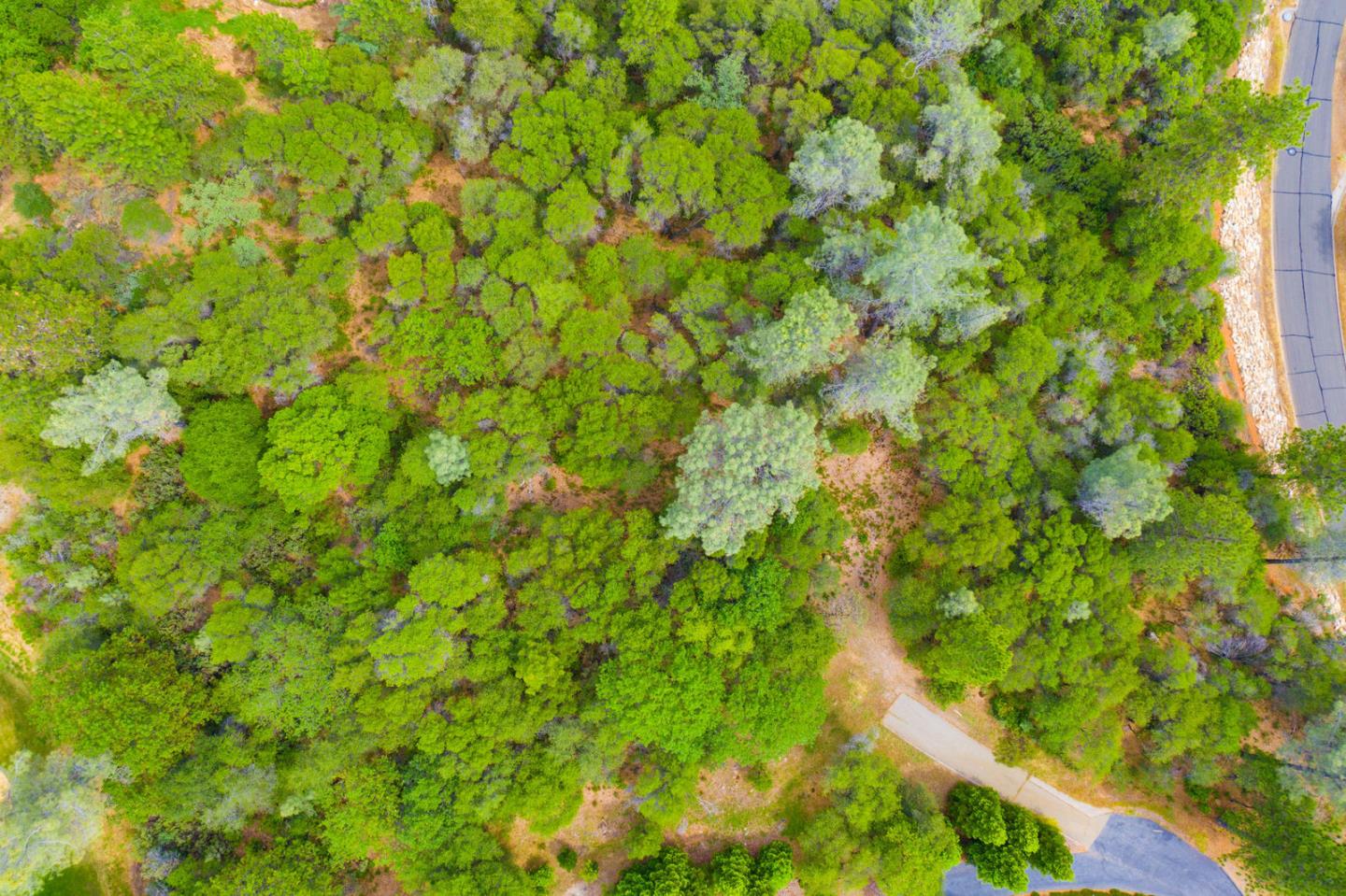 2041 Long View Drive, MEADOW VISTA, California 95722, ,Lots And Land,For Sale,Long View Drive,40962322