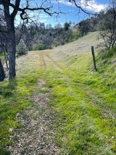 000 enramada Drive, LA GRANGE, California 95329, ,Lots And Land,For Sale,enramada Drive,40962334