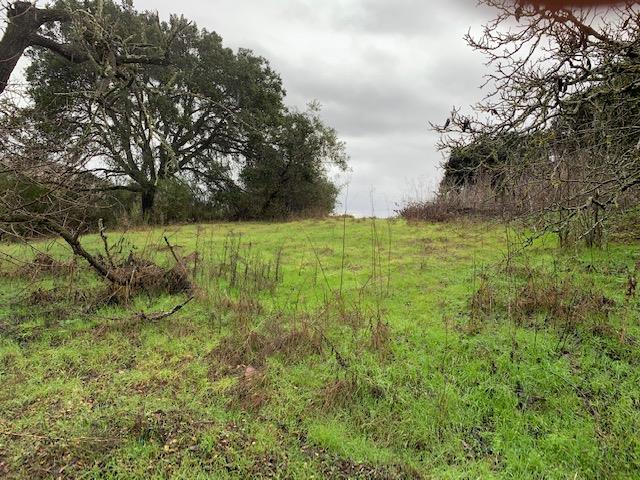 0 School Road, AROMAS, California 95004, ,Lots And Land,For Sale,School Road,40962378
