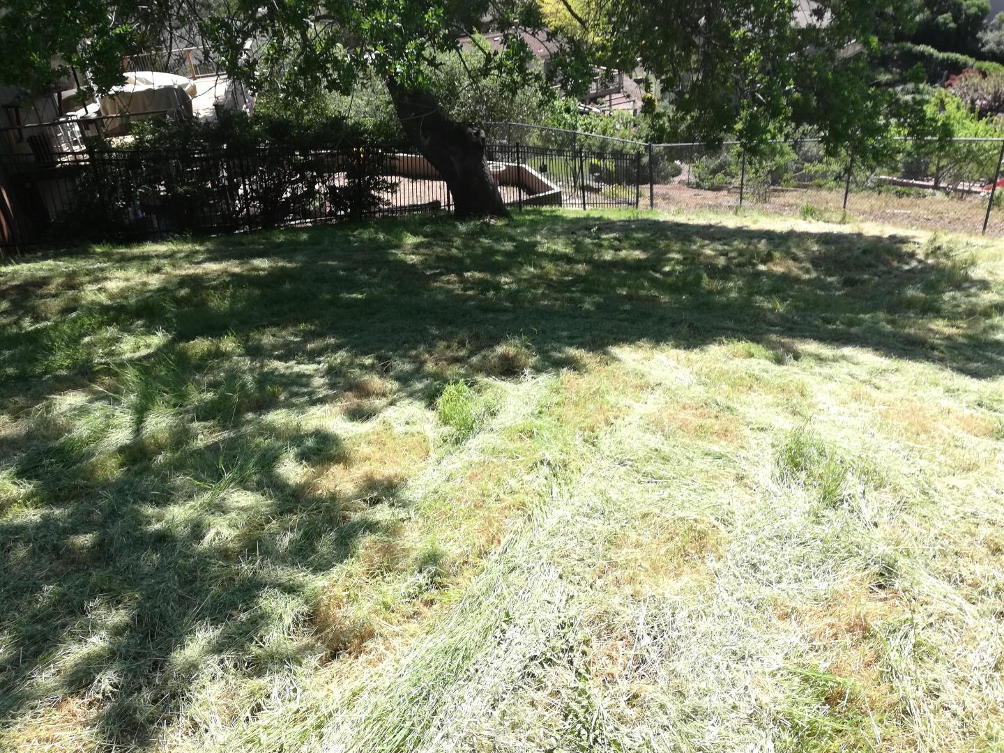 15860 Jackson Oaks Drive, MORGAN HILL, California 95037, ,Lots And Land,For Sale,Jackson Oaks Drive,40962387