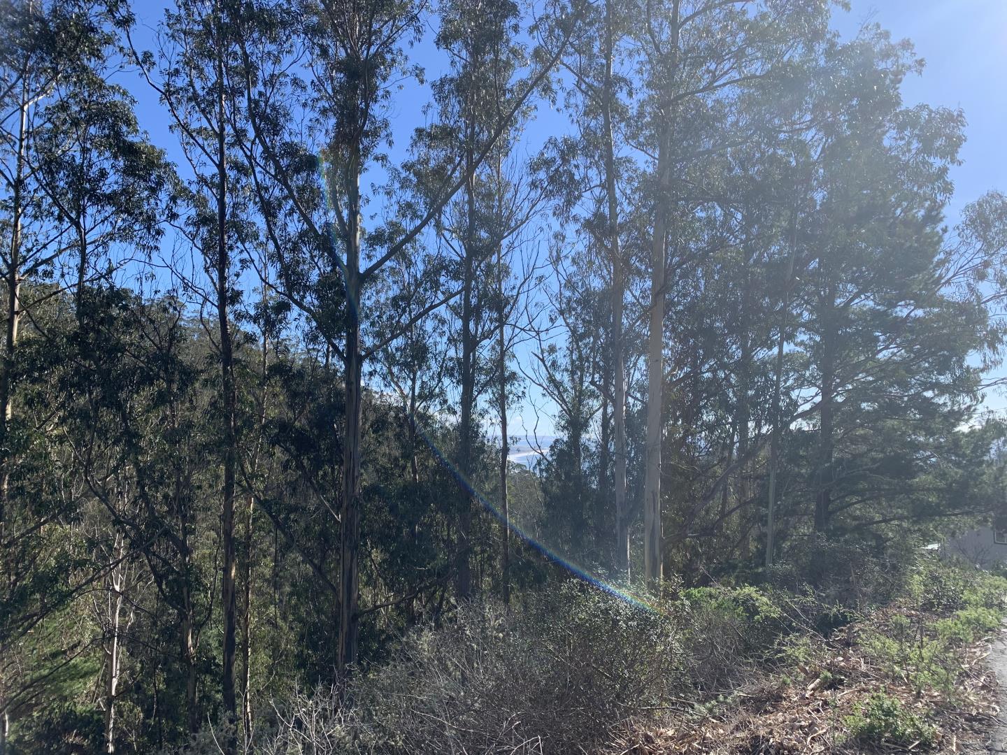 0 Dolphine Avenue, EL GRANADA, California 94018, ,Lots And Land,For Sale,Dolphine Avenue,40962388