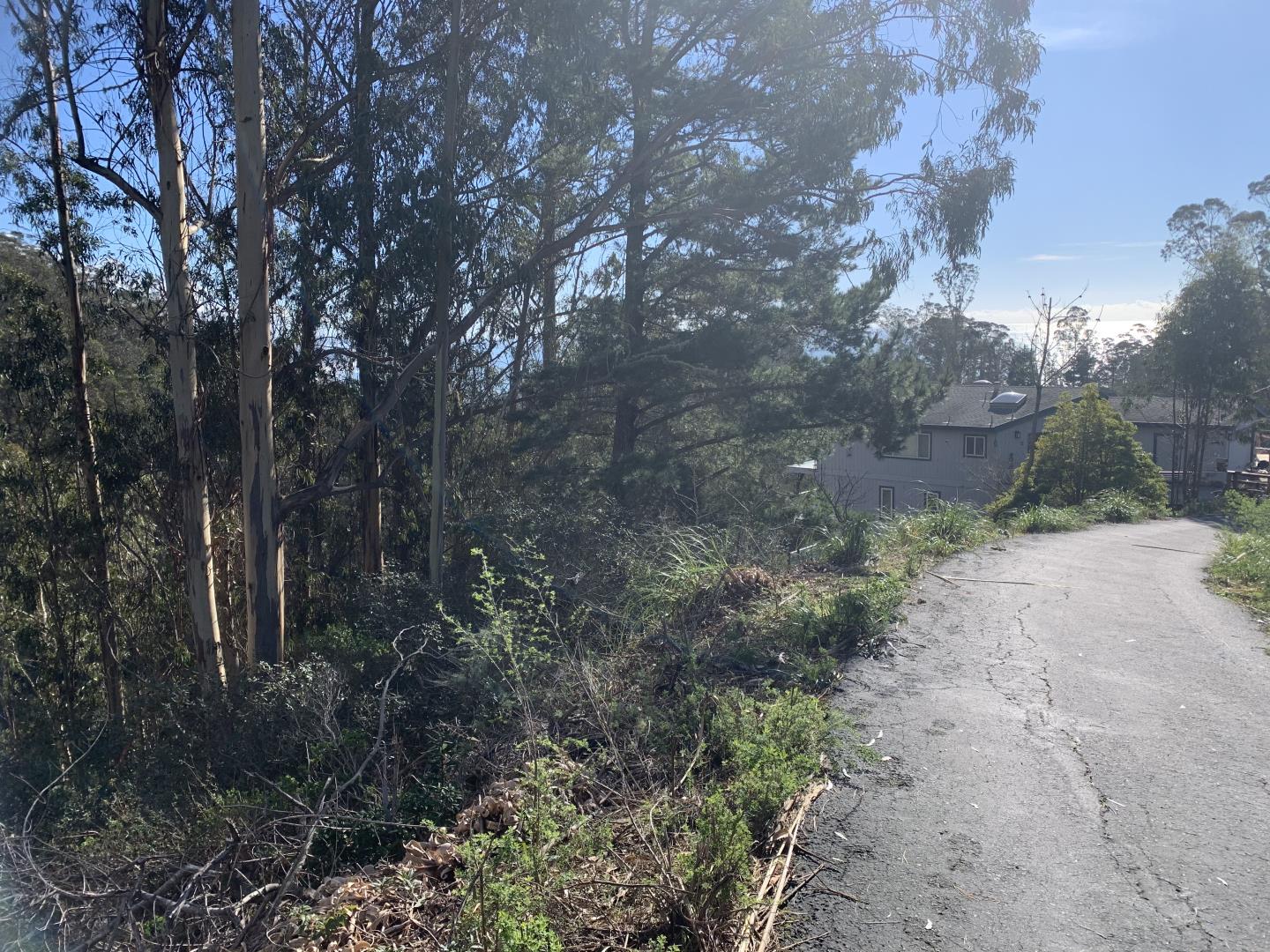 0 Dolphine Avenue, EL GRANADA, California 94018, ,Lots And Land,For Sale,Dolphine Avenue,40962388