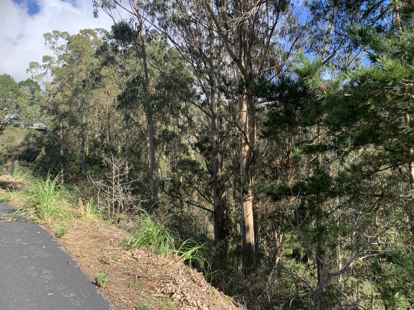 0 Dolphine Avenue, EL GRANADA, California 94018, ,Lots And Land,For Sale,Dolphine Avenue,40962388