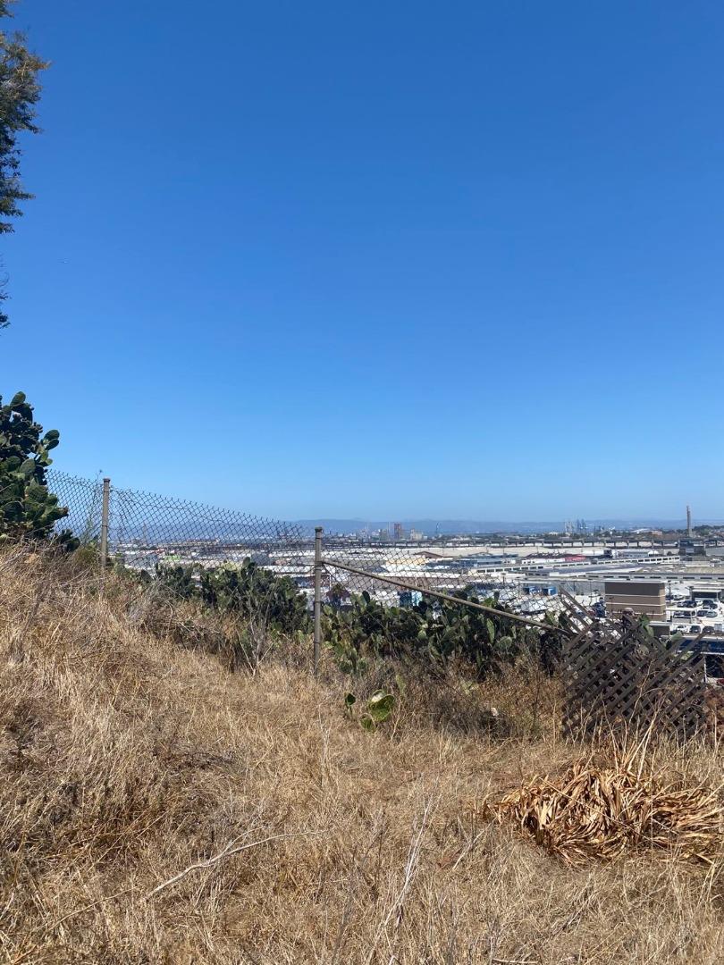 731 Peralta Avenue, SAN FRANCISCO, California 94110, ,Lots And Land,For Sale,Peralta Avenue,40962489