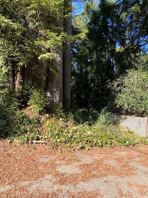 0000 Big Basin Way, BOULDER CREEK, California 95006, ,Lots And Land,For Sale,Big Basin Way,40963038