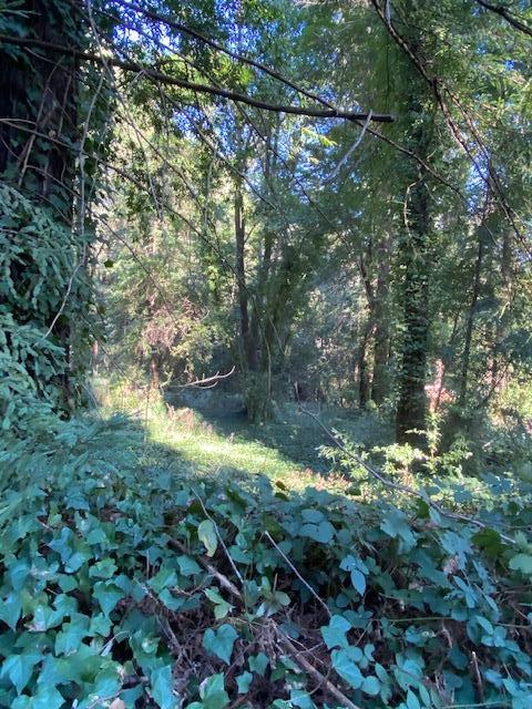 0000 Big Basin Way, BOULDER CREEK, California 95006, ,Lots And Land,For Sale,Big Basin Way,40963038