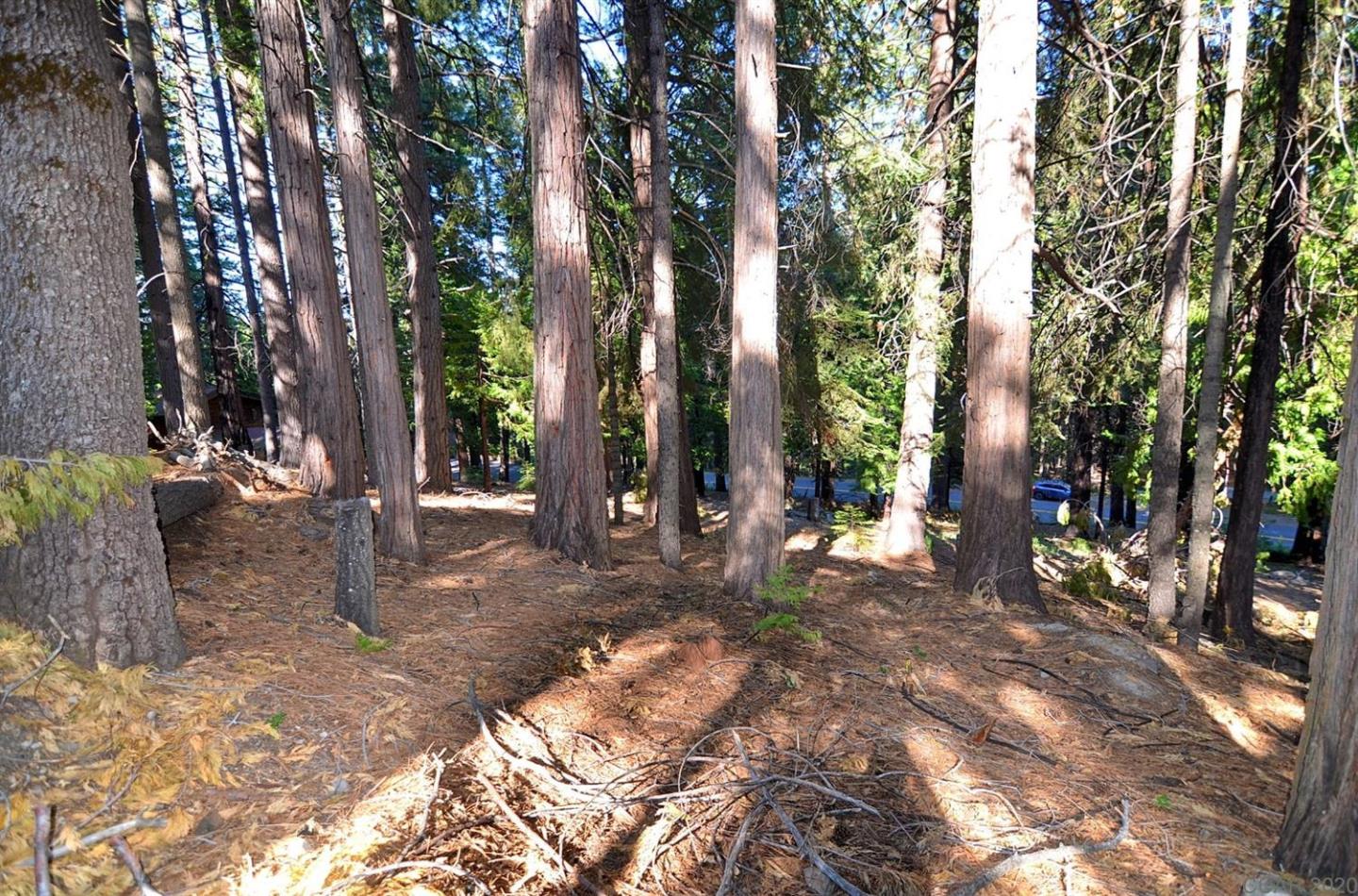 2525 Cheyenne Way, OTHER - SEE REMARKS, California 95223, ,Lots And Land,For Sale,Cheyenne Way,40963039