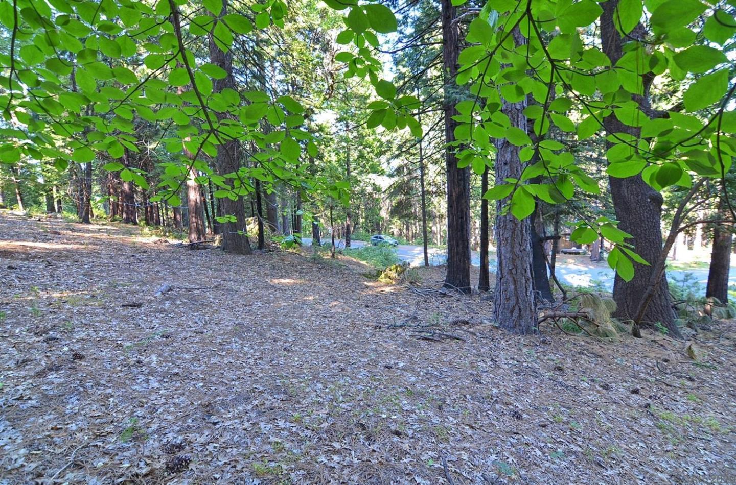 2525 Cheyenne Way, OTHER - SEE REMARKS, California 95223, ,Lots And Land,For Sale,Cheyenne Way,40963039