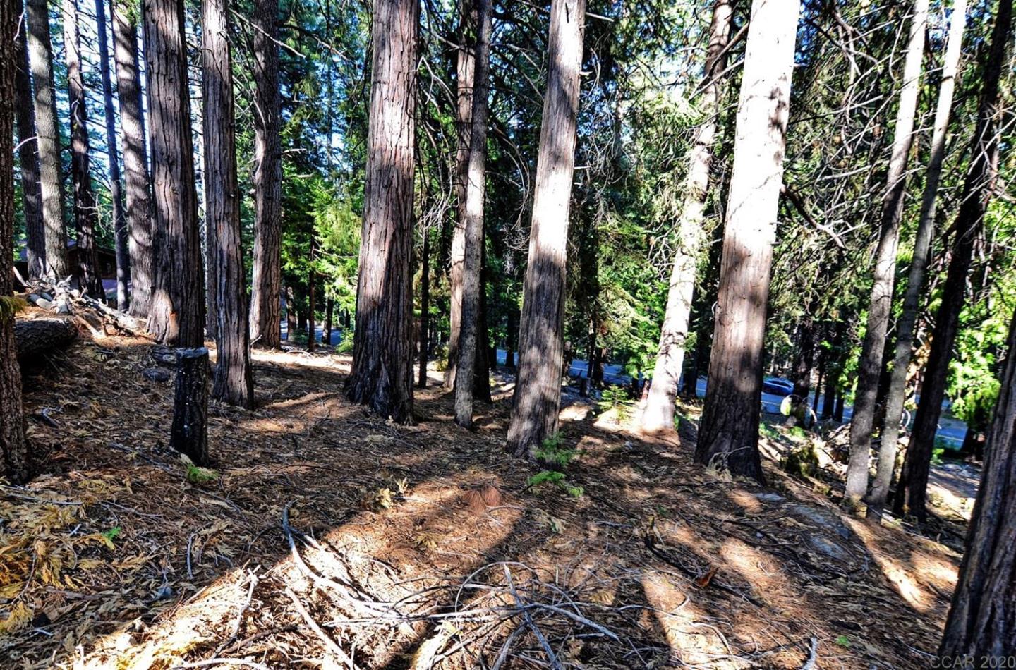 2525 Cheyenne Way, OTHER - SEE REMARKS, California 95223, ,Lots And Land,For Sale,Cheyenne Way,40963039