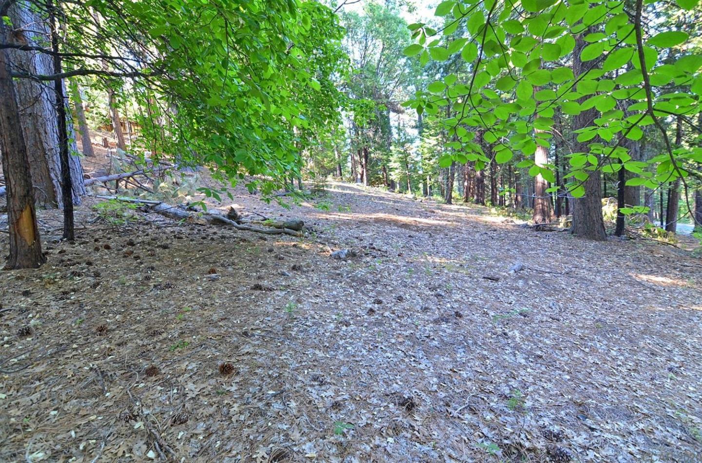 2525 Cheyenne Way, OTHER - SEE REMARKS, California 95223, ,Lots And Land,For Sale,Cheyenne Way,40963039