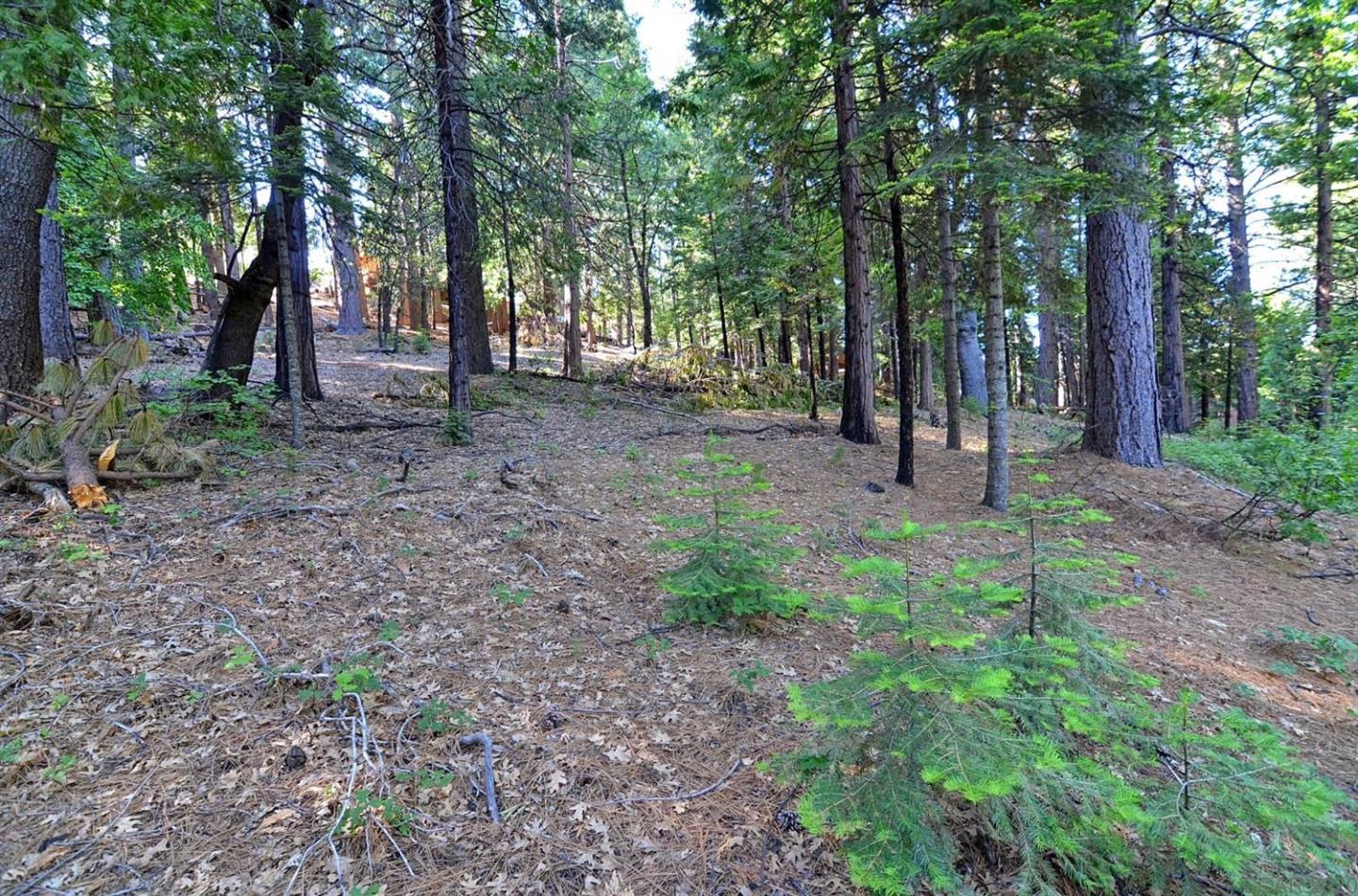 2525 Cheyenne Way, OTHER - SEE REMARKS, California 95223, ,Lots And Land,For Sale,Cheyenne Way,40963039