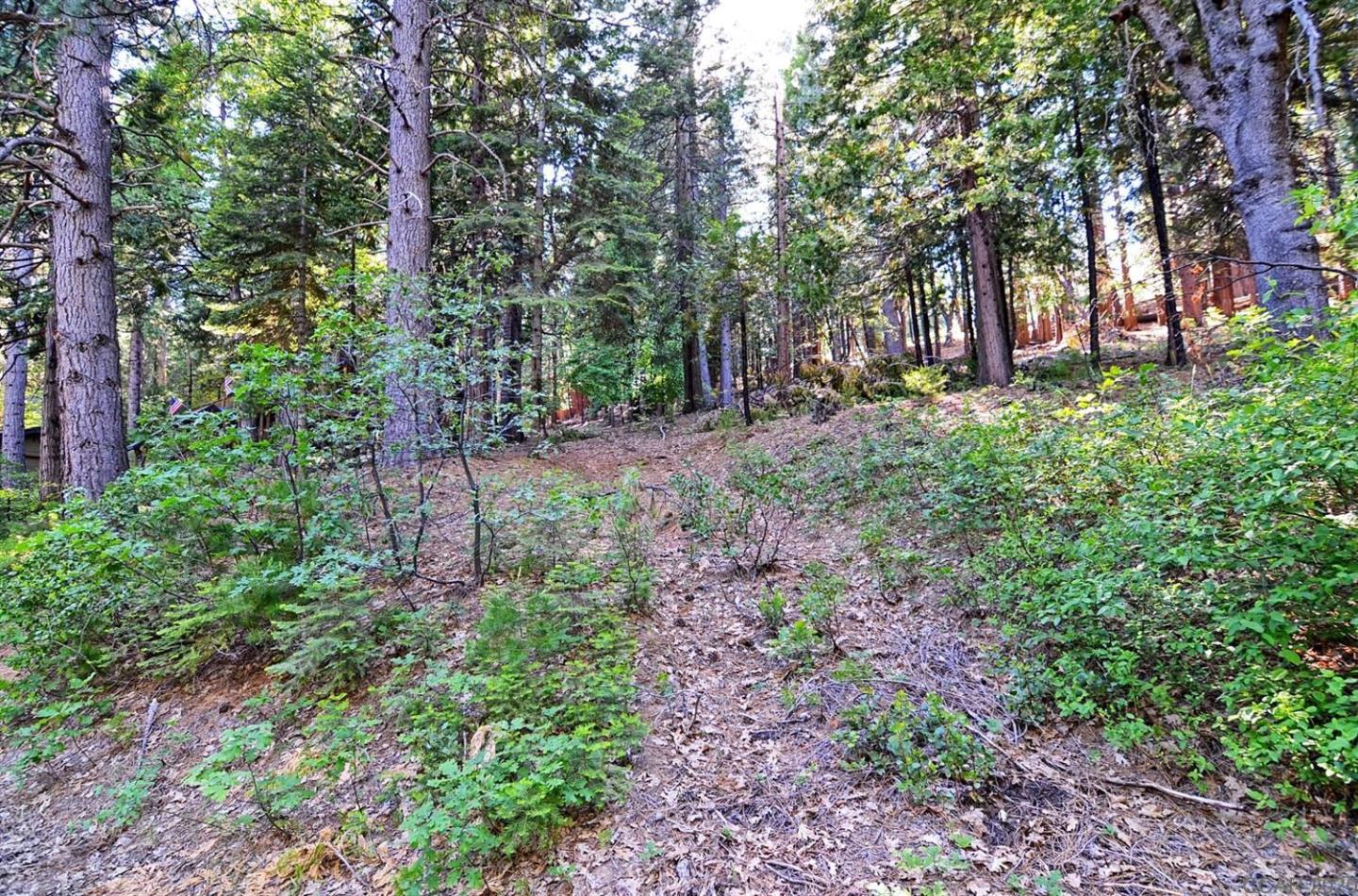 2525 Cheyenne Way, OTHER - SEE REMARKS, California 95223, ,Lots And Land,For Sale,Cheyenne Way,40963039