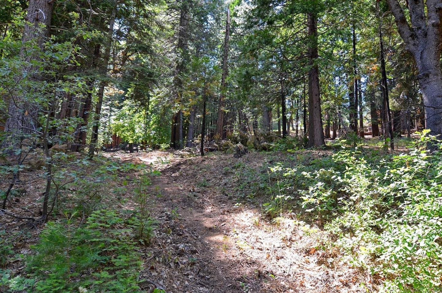 2525 Cheyenne Way, OTHER - SEE REMARKS, California 95223, ,Lots And Land,For Sale,Cheyenne Way,40963039