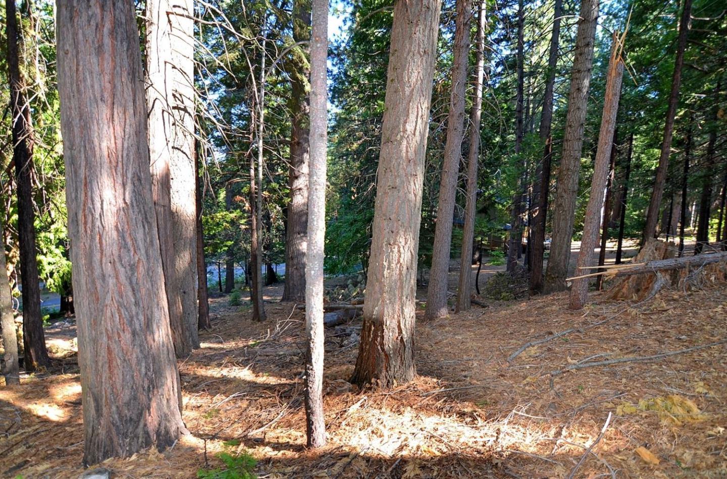 2545 Cheyenne Way, OTHER - SEE REMARKS, California 95223, ,Lots And Land,For Sale,Cheyenne Way,40963040