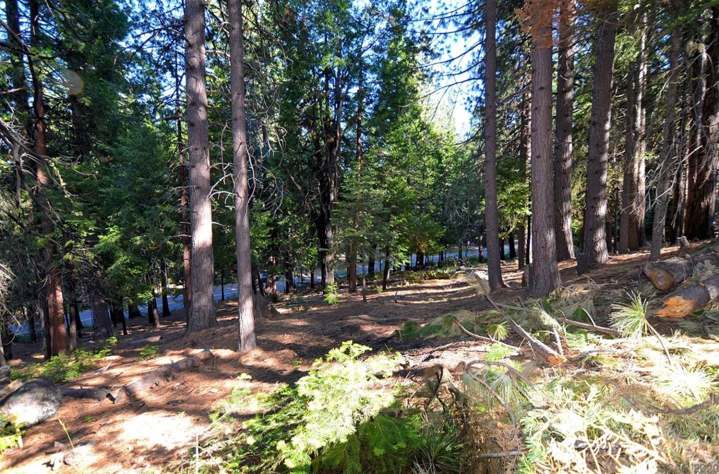 2545 Cheyenne Way, OTHER - SEE REMARKS, California 95223, ,Lots And Land,For Sale,Cheyenne Way,40963040