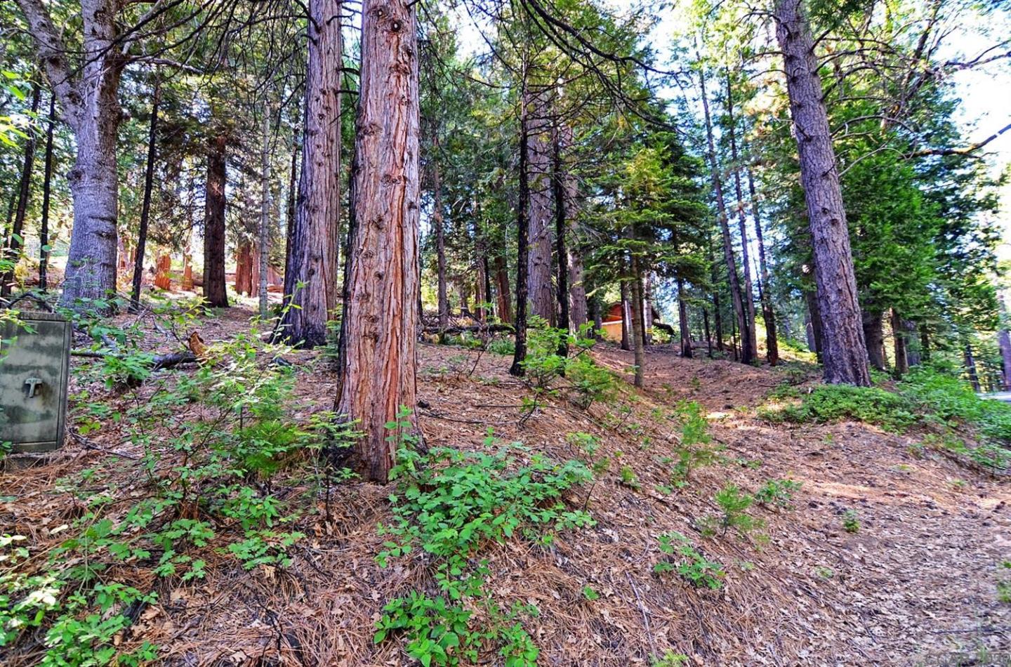 2545 Cheyenne Way, OTHER - SEE REMARKS, California 95223, ,Lots And Land,For Sale,Cheyenne Way,40963040