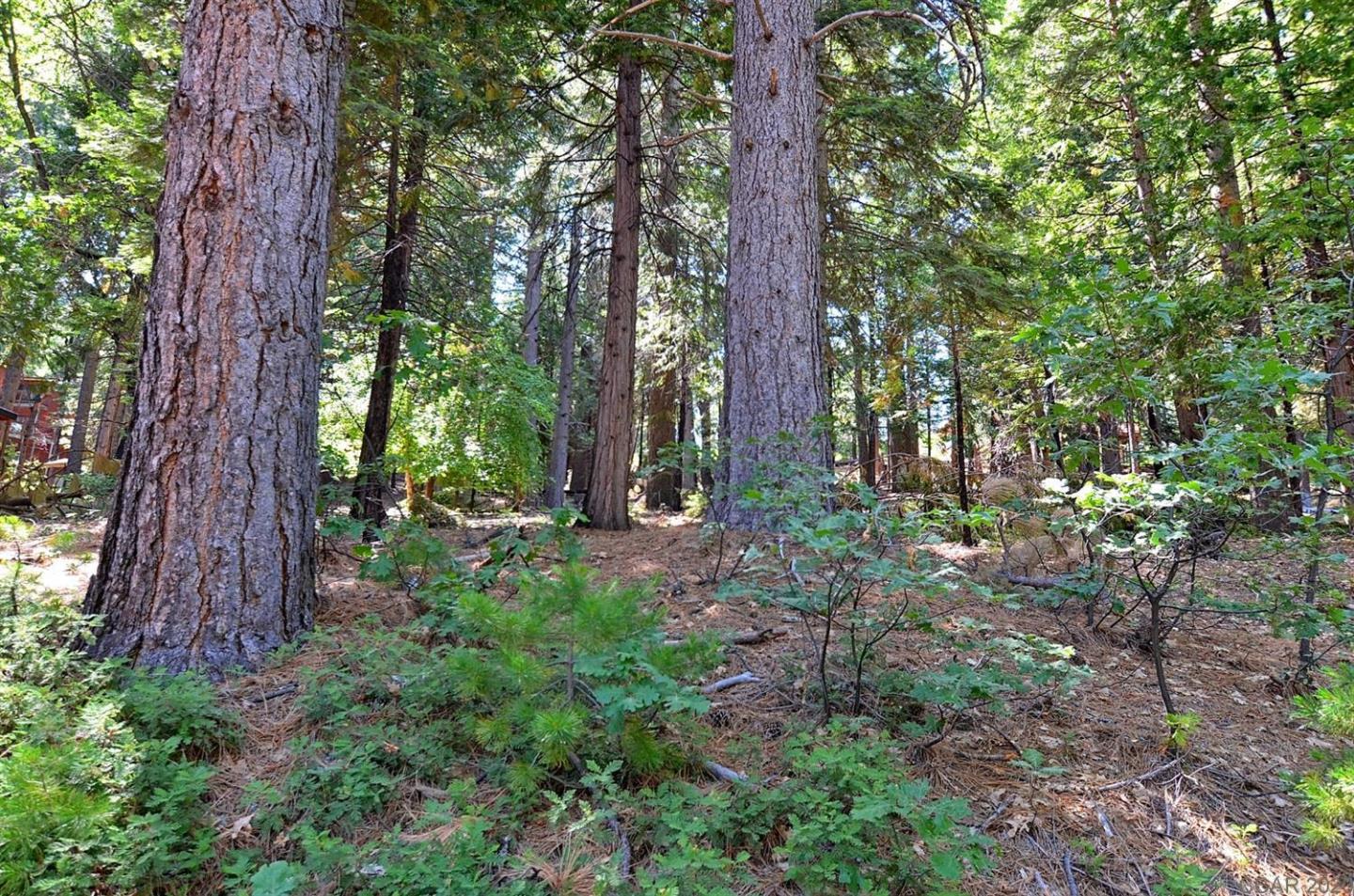 2545 Cheyenne Way, OTHER - SEE REMARKS, California 95223, ,Lots And Land,For Sale,Cheyenne Way,40963040