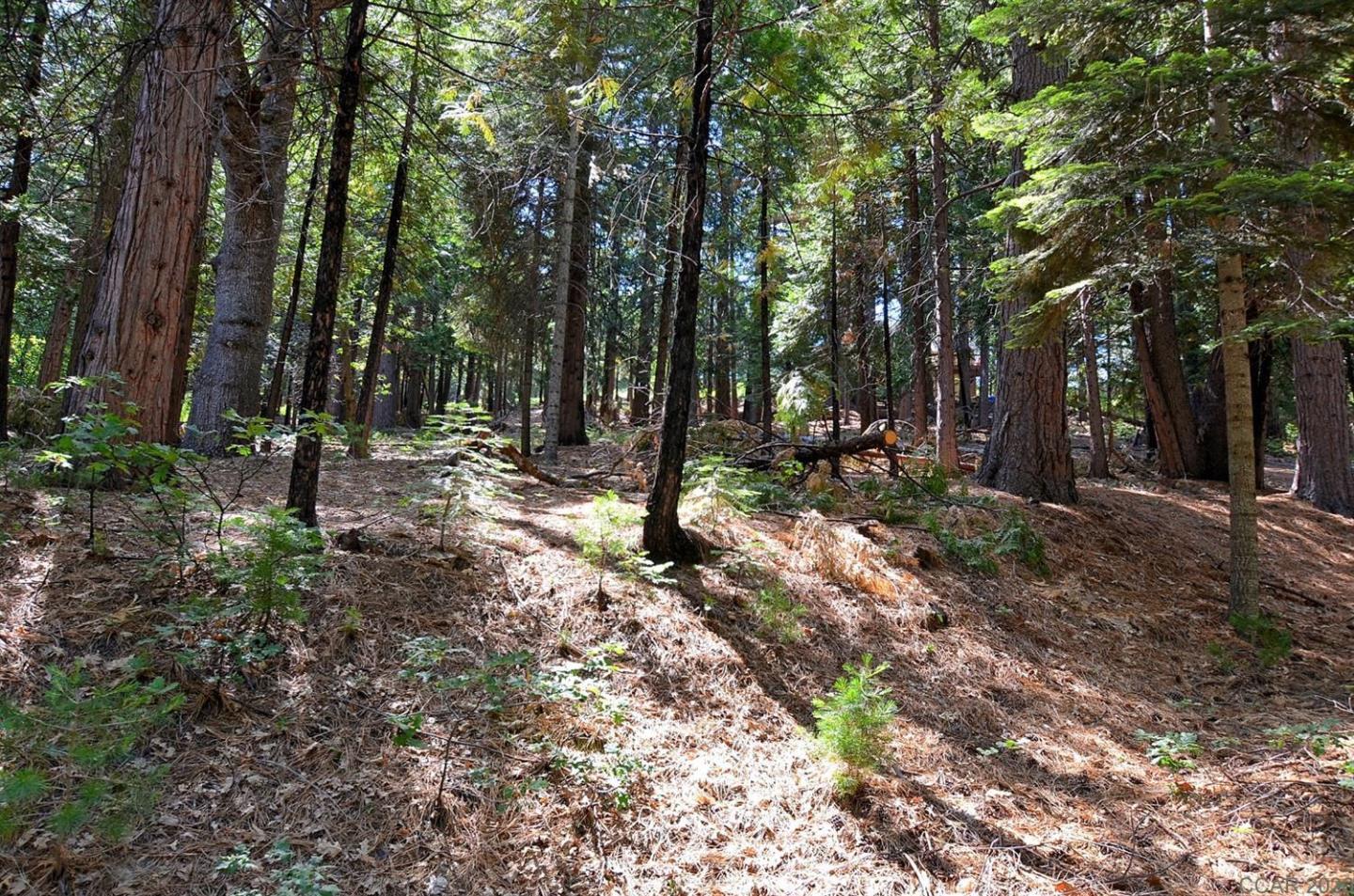 2545 Cheyenne Way, OTHER - SEE REMARKS, California 95223, ,Lots And Land,For Sale,Cheyenne Way,40963040